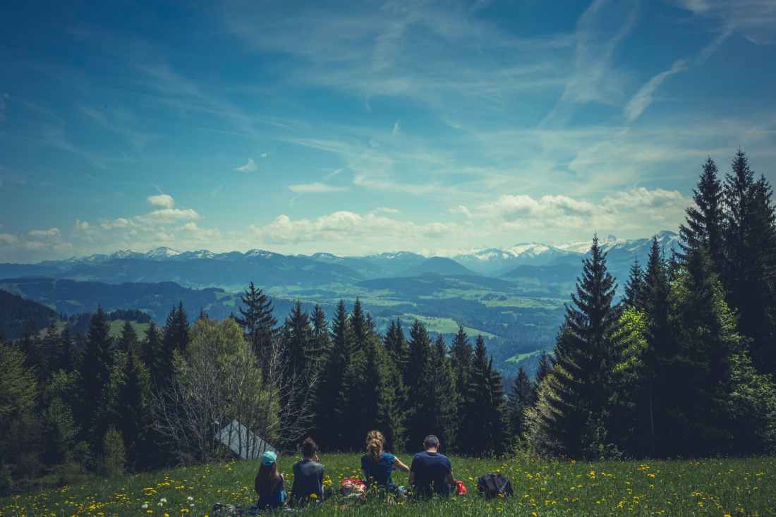 people sitting on green grass